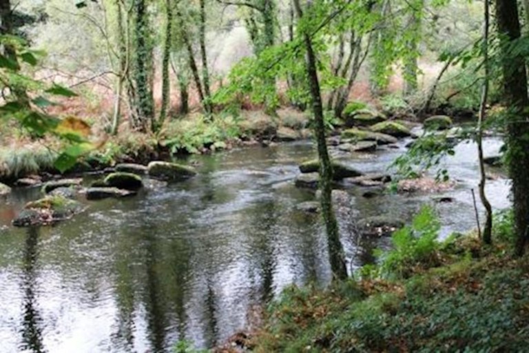 Rivière l'Isole à Scaër.